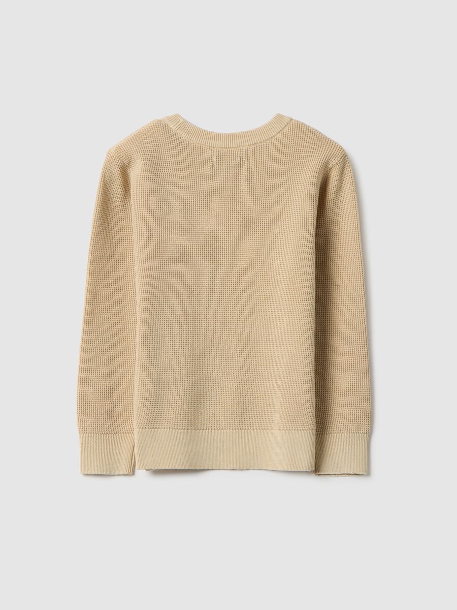 Child's regular fit beige crew neck pure cotton jumper_1