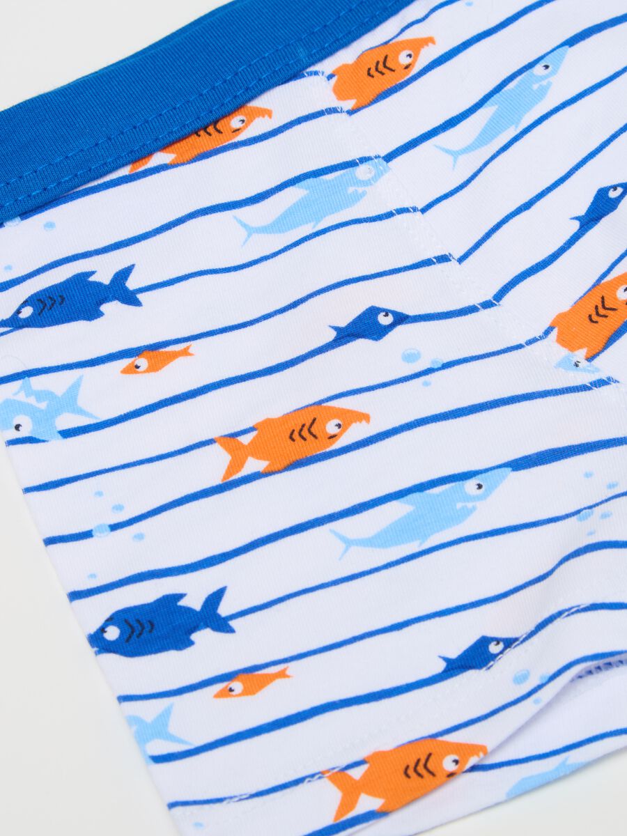 Striped boxer shorts in stretch cotton with fish print_2