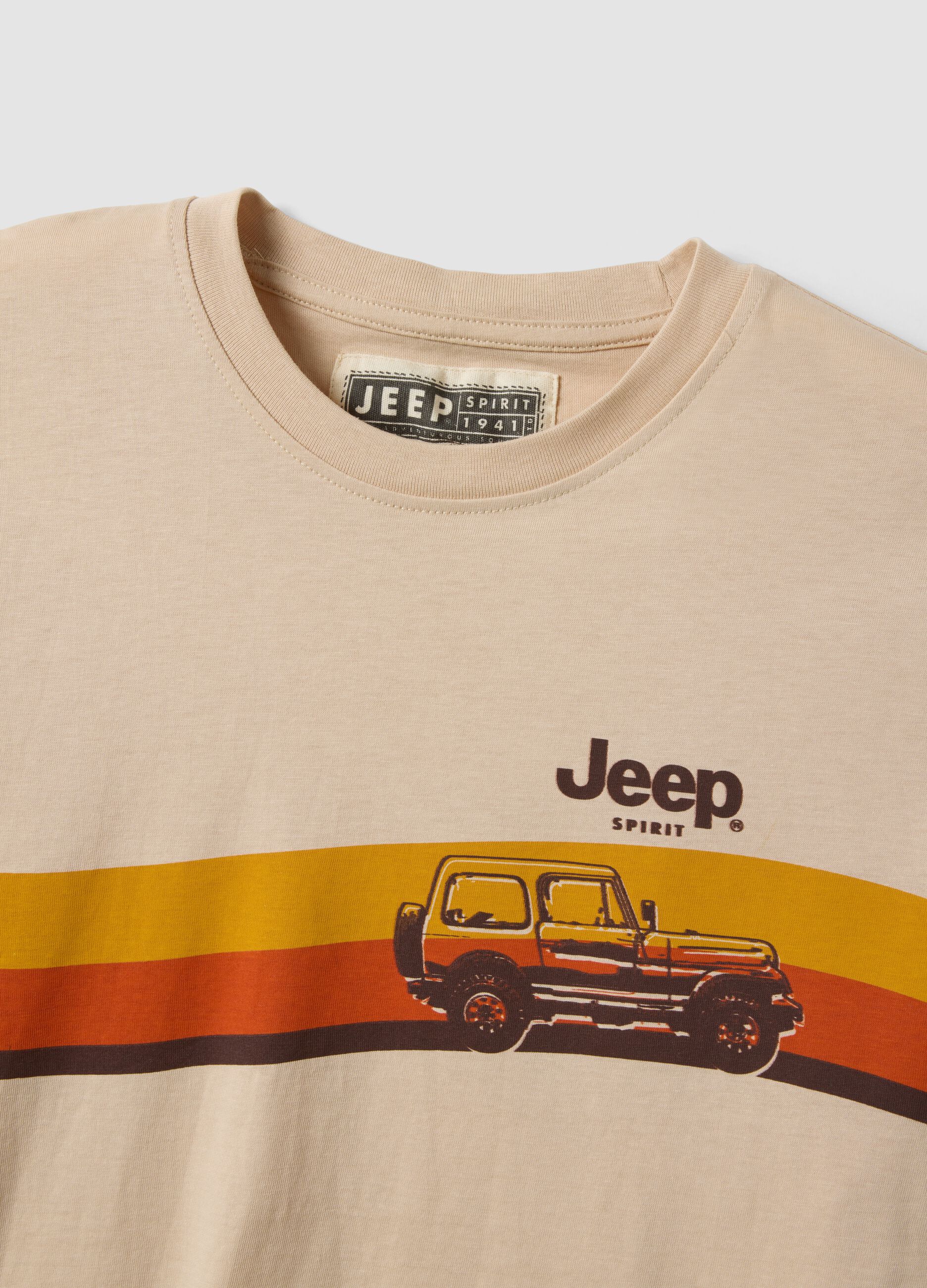 Beige pure cotton regular fit T-shirt with print