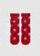 Red Stretch Cotton Christmas Socks_0