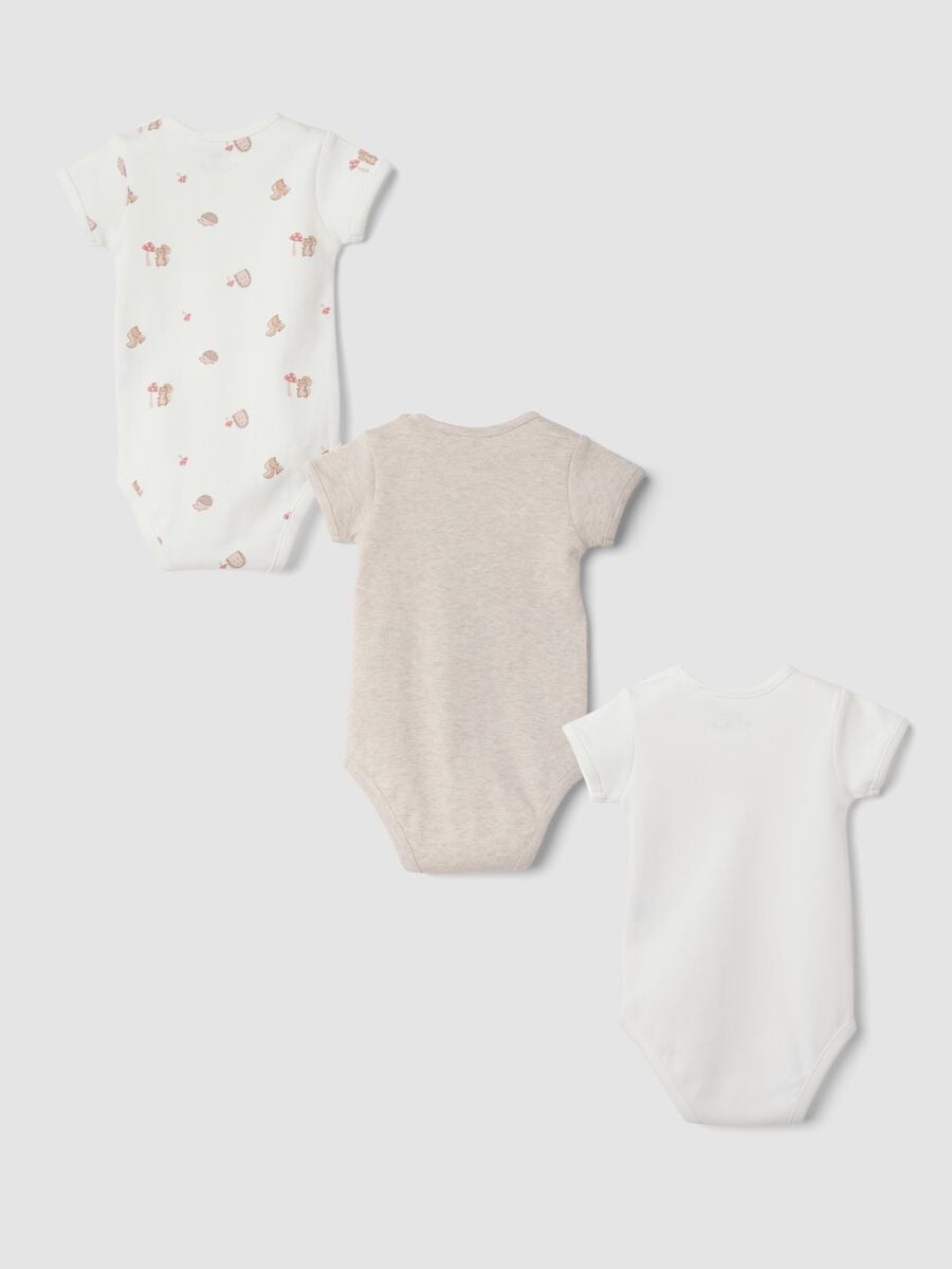 Tripack di body in puro cotone organico girocollo per neonata_1