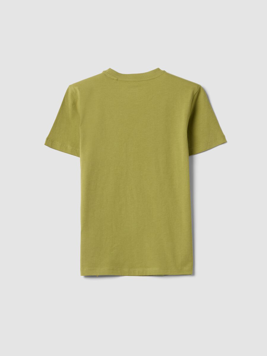 T-shirt verde in cotone organico a maniche corte_4