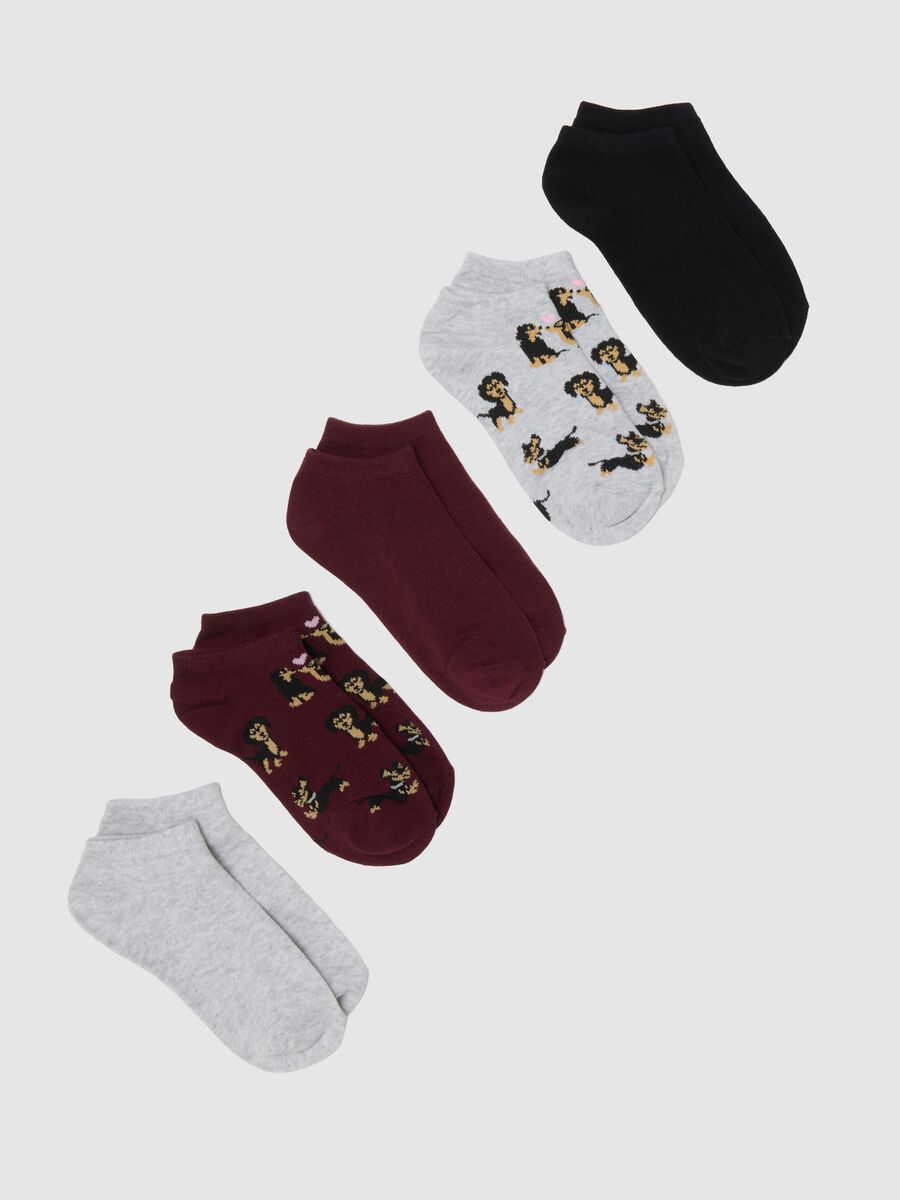 Multipack of stretchy multicolor cotton socks_0