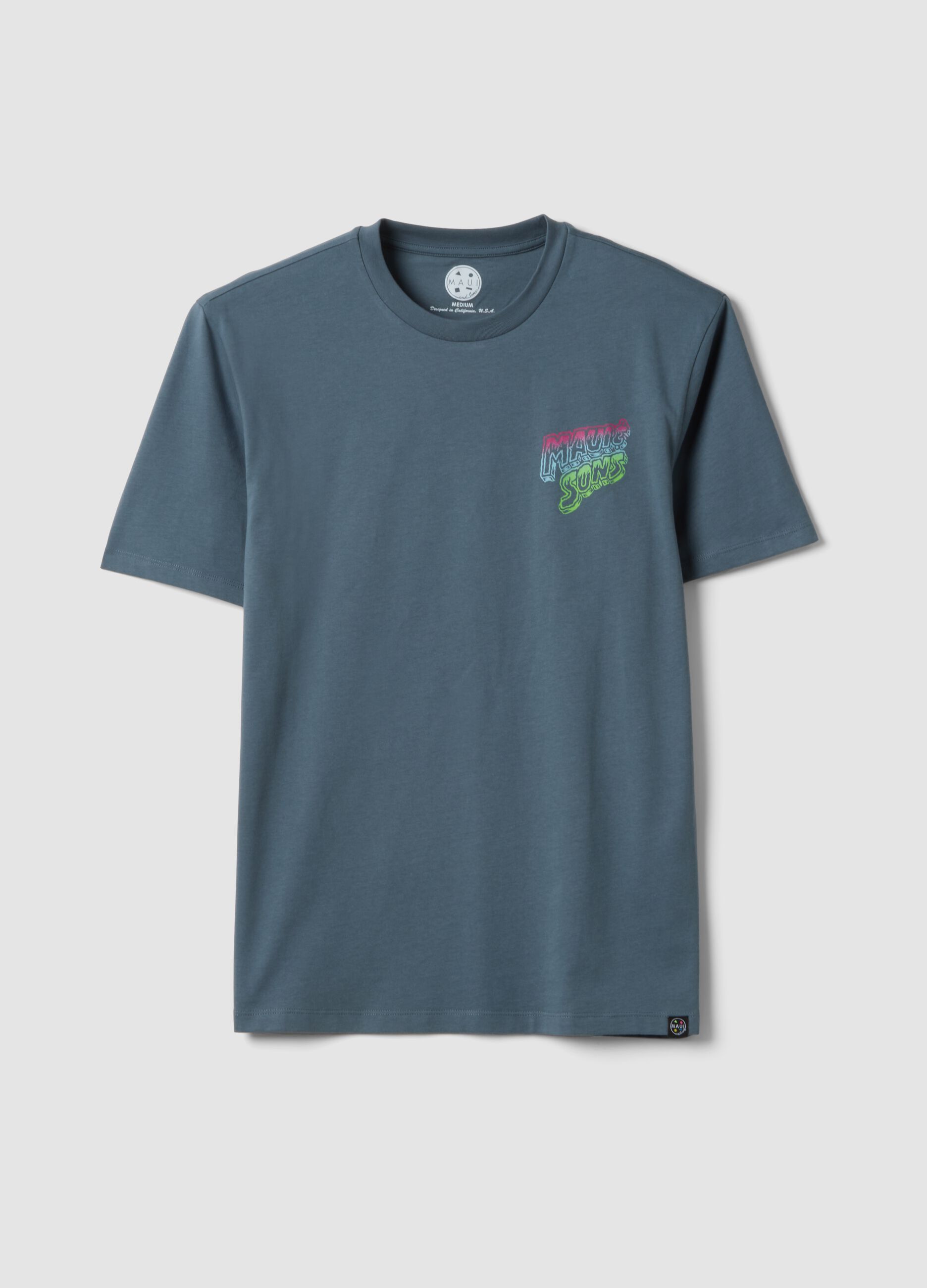 Light blue pure cotton short-sleeve T-shirt, relaxed fit with print