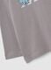 Grey regular fit cotton children's t-shirt with print_3