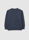 Blue Regular Fit Pure Cotton Children's Sweatshirt_1