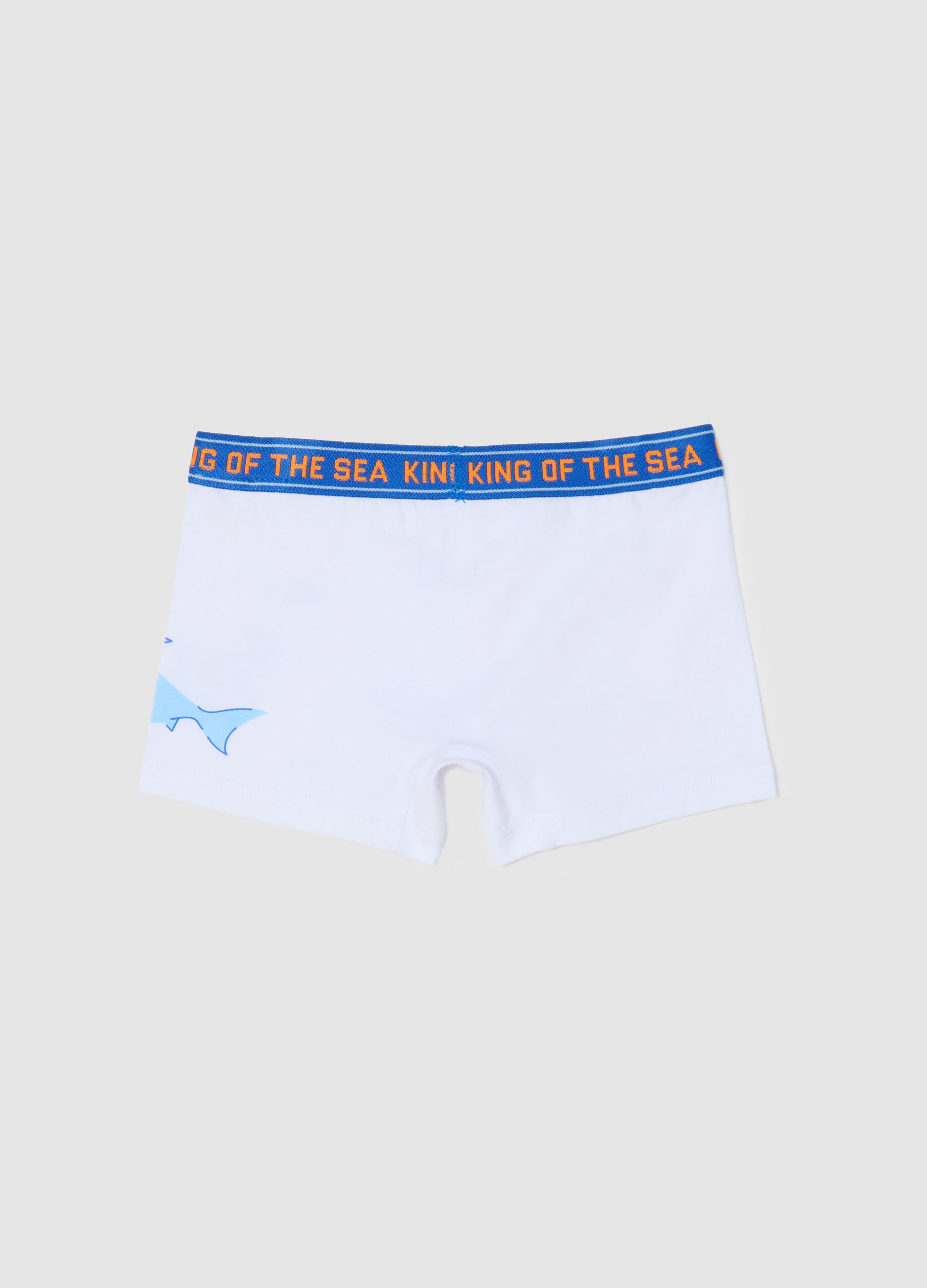 Boxer in cotone stretch con stampa squalo 