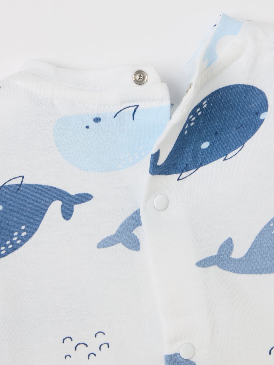 Cotton T-shirt with cetaceans print_3