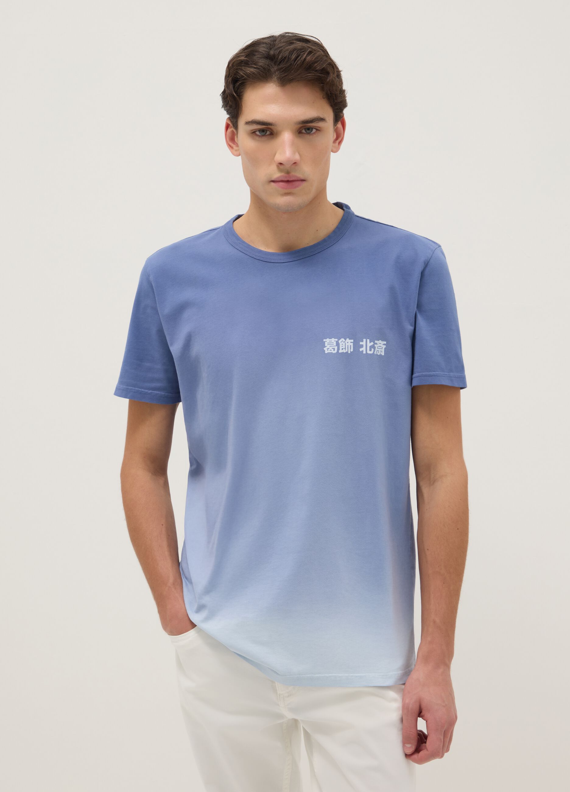 Regular fit blue pure cotton t-shirt with print