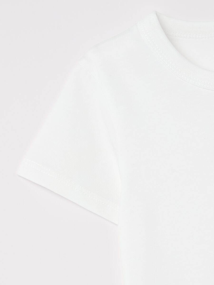 Organic cotton T-shirt_3