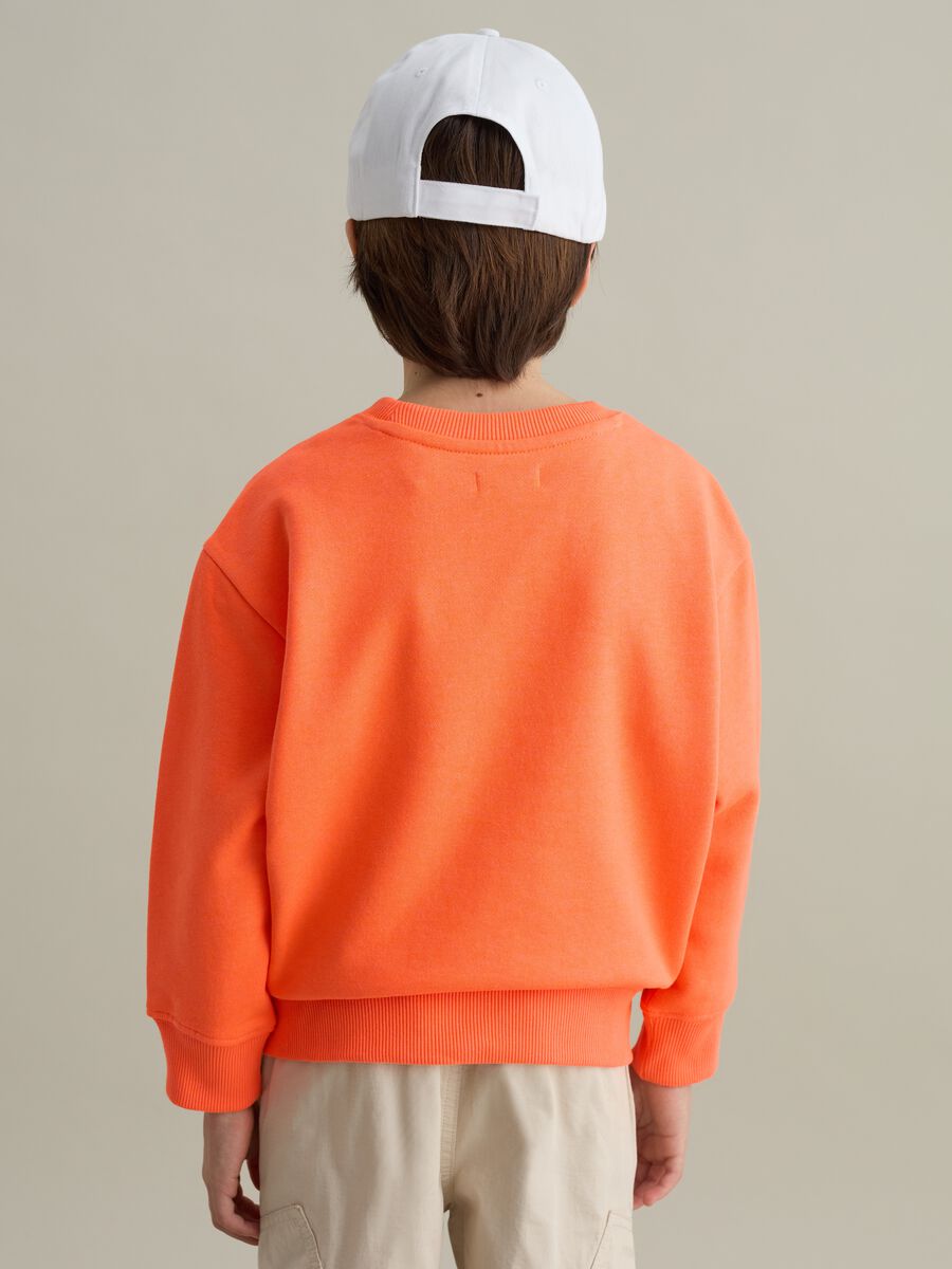 French Terry sweatshirt with college design print_1