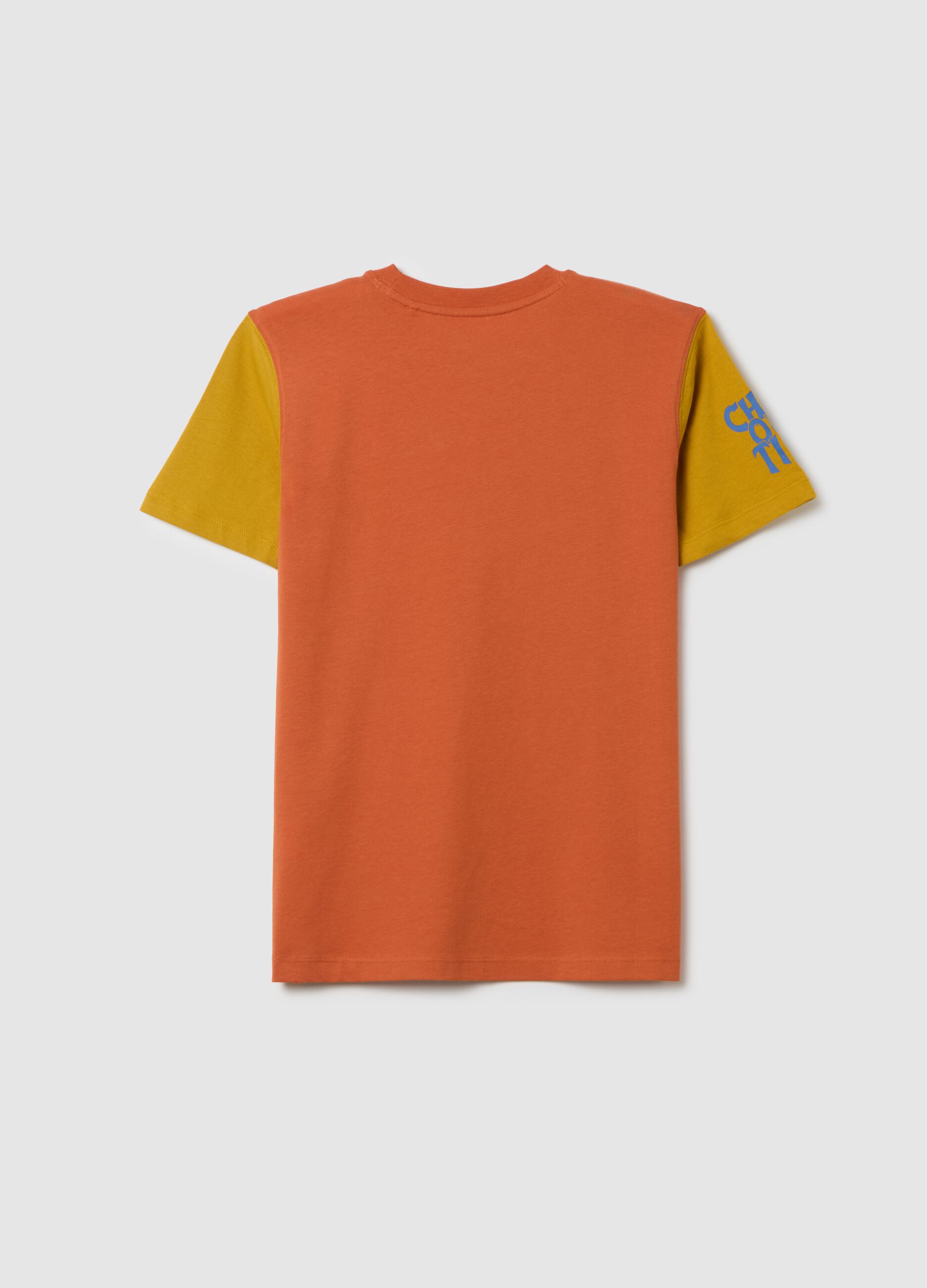Boy's multicolour pure cotton regular fit T-shirt