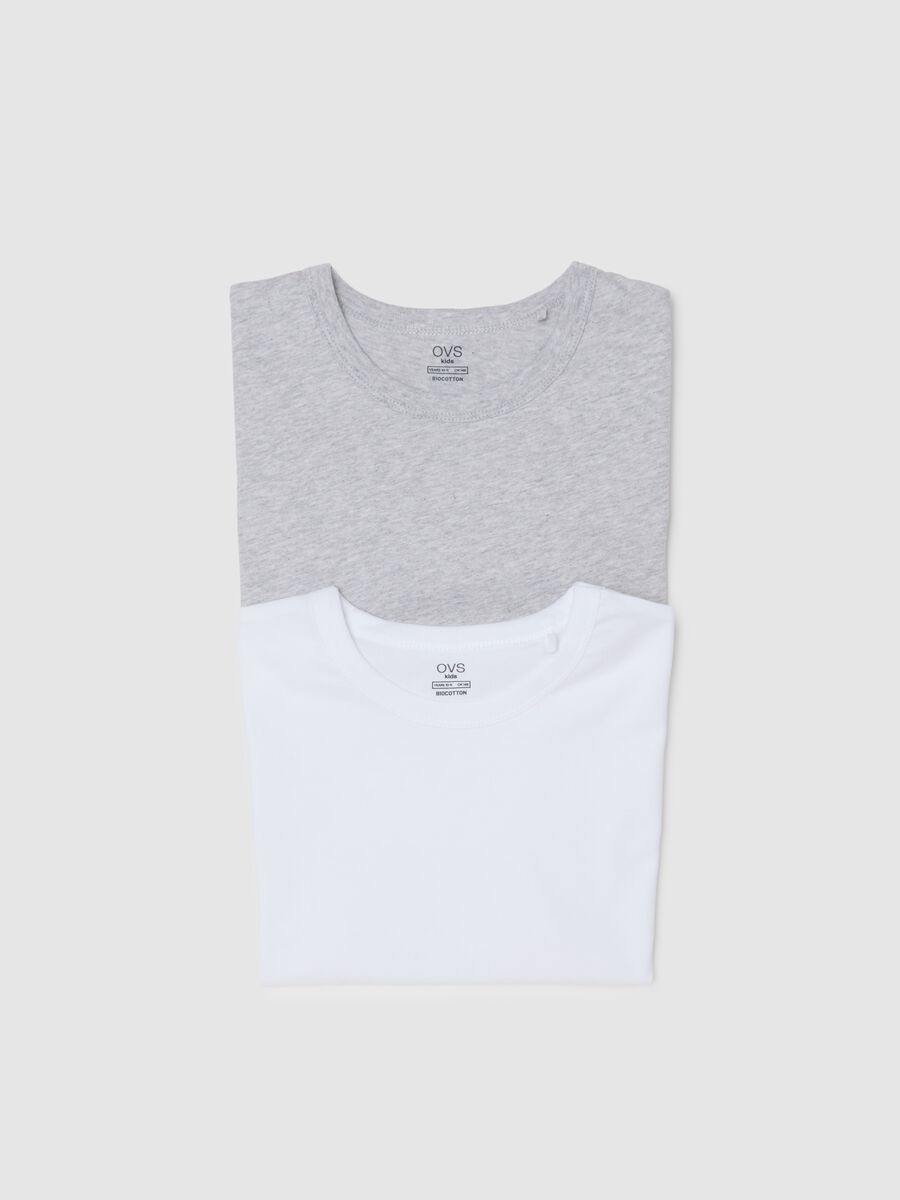 Bipack t-shirt da ragazzo in puro cotone multicolor regular fit_3