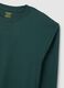 Green pure cotton regular fit sweater_5