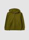 Green organic cotton hooded sweatshirt for boys, regular fit_0