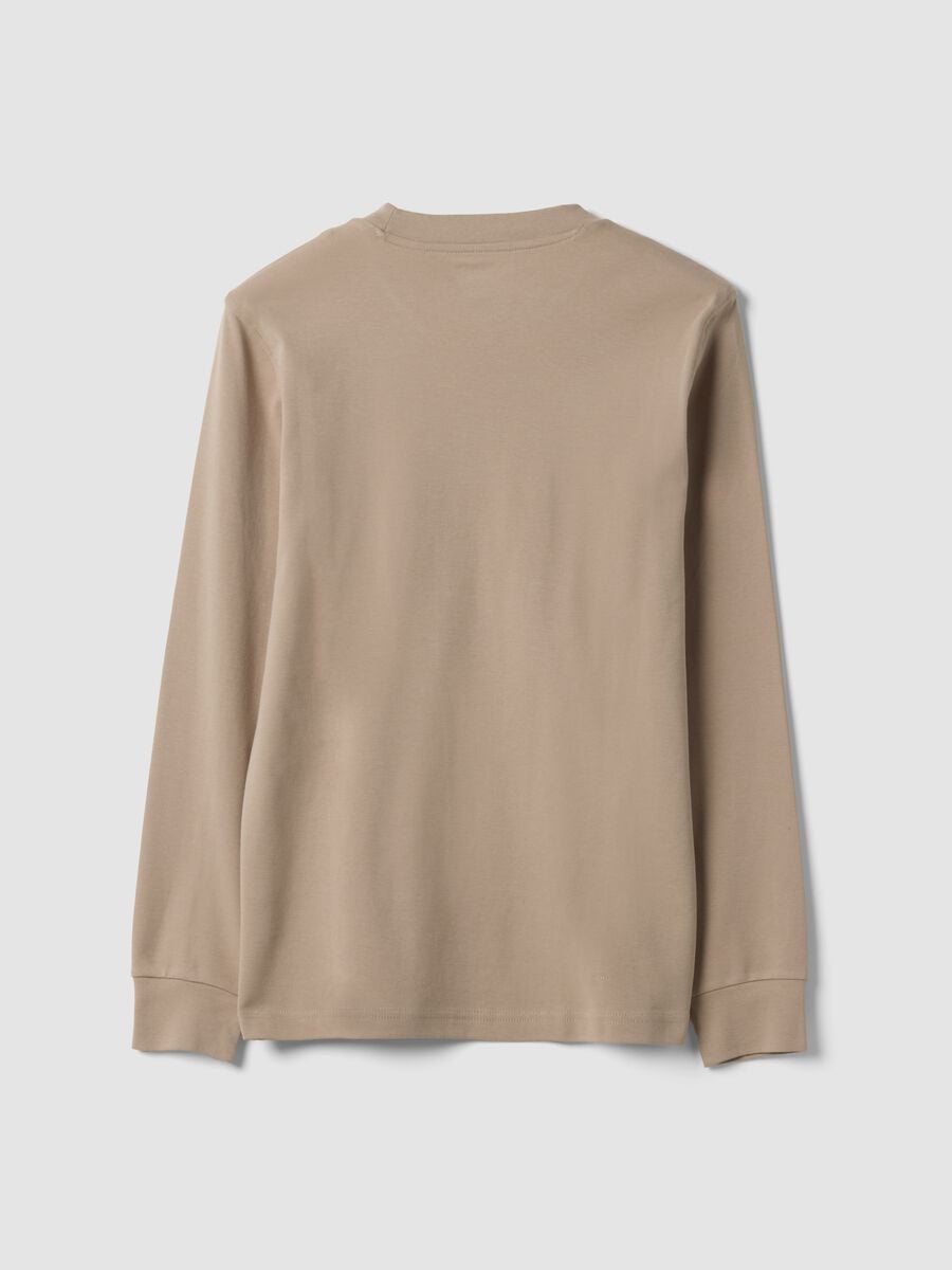 Beige pure cotton crew-neck T-shirt, regular fit_2