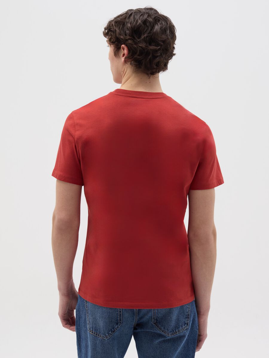 Organic cotton T-shirt with V neck_3