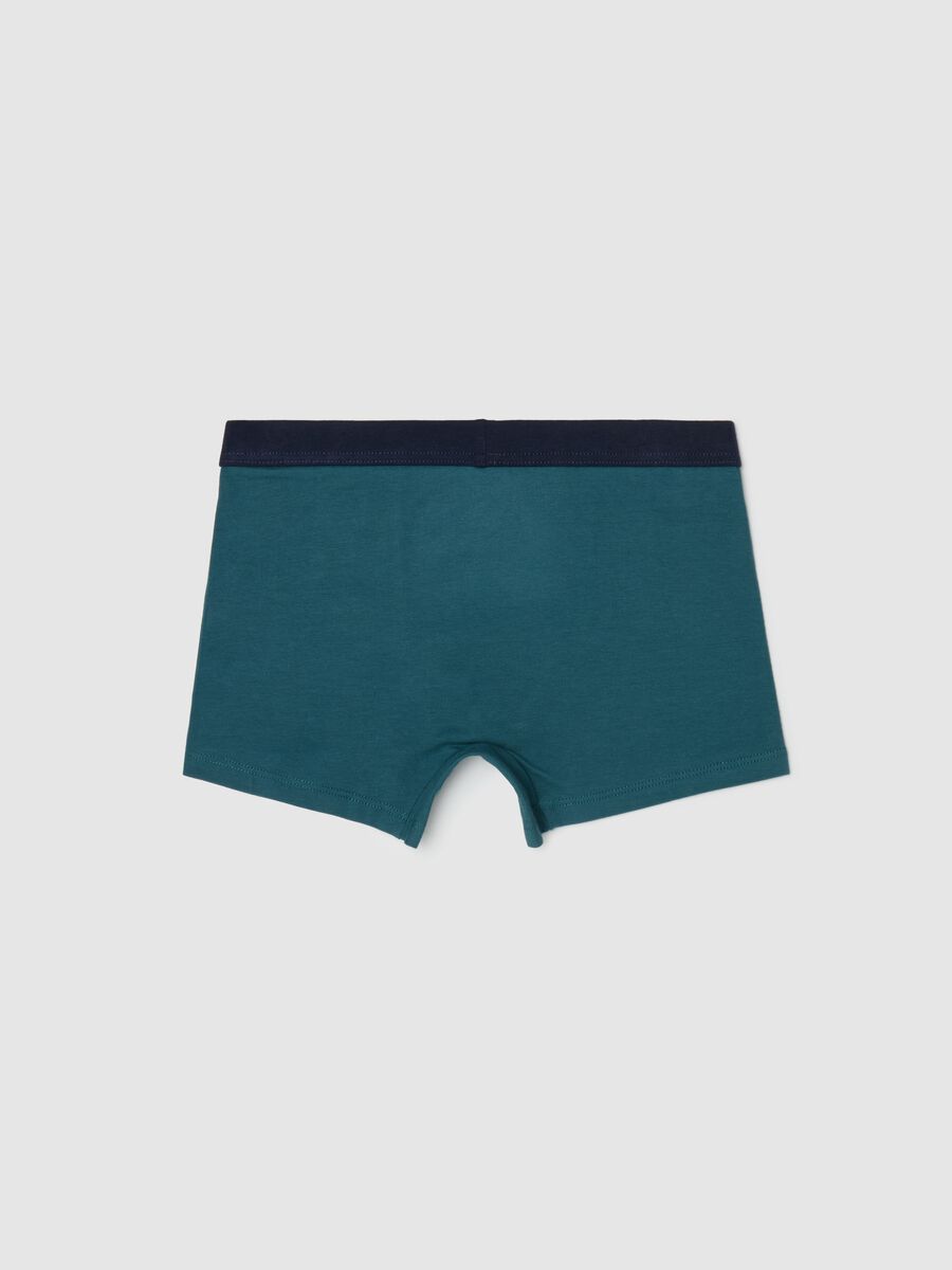 Boxer midi in cotone stretch _1