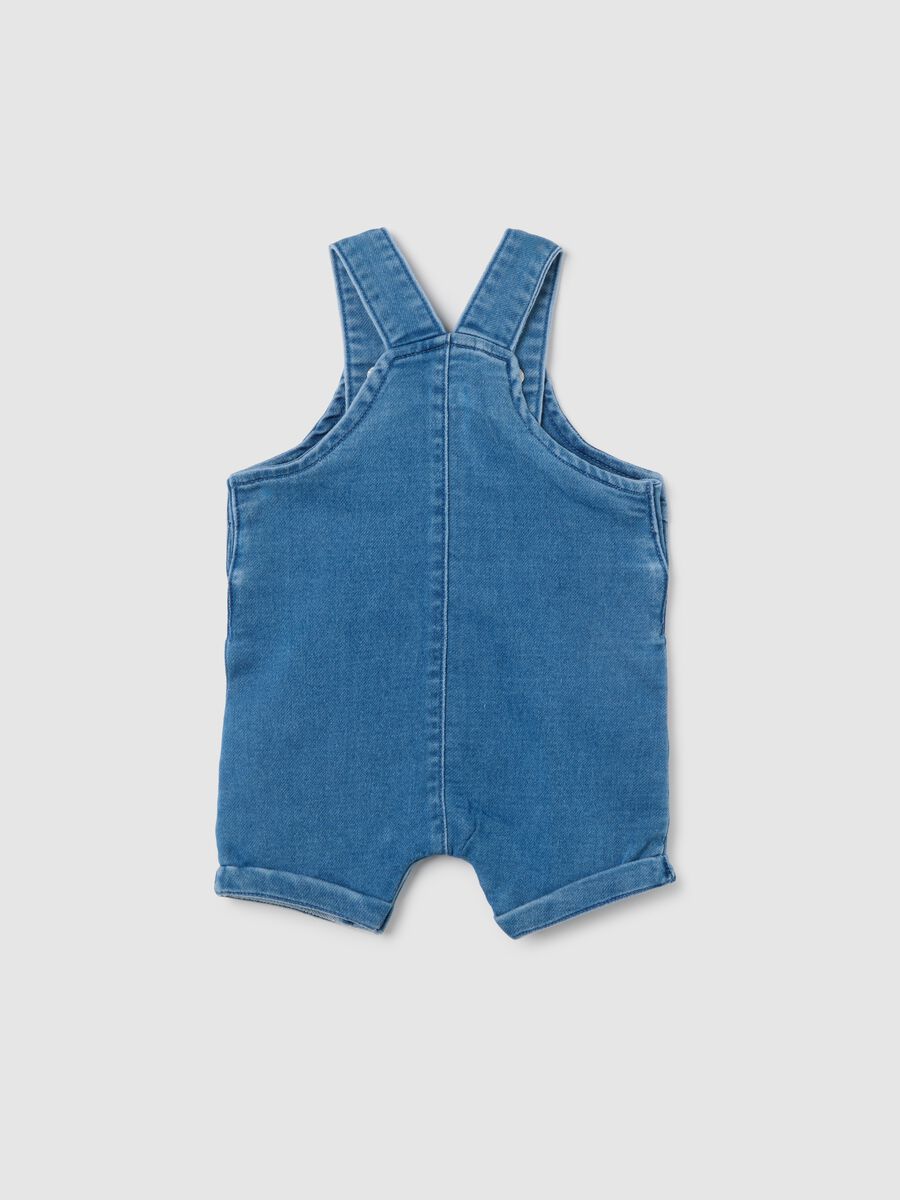 Regular Fit Baby Denim Short Dungarees_1