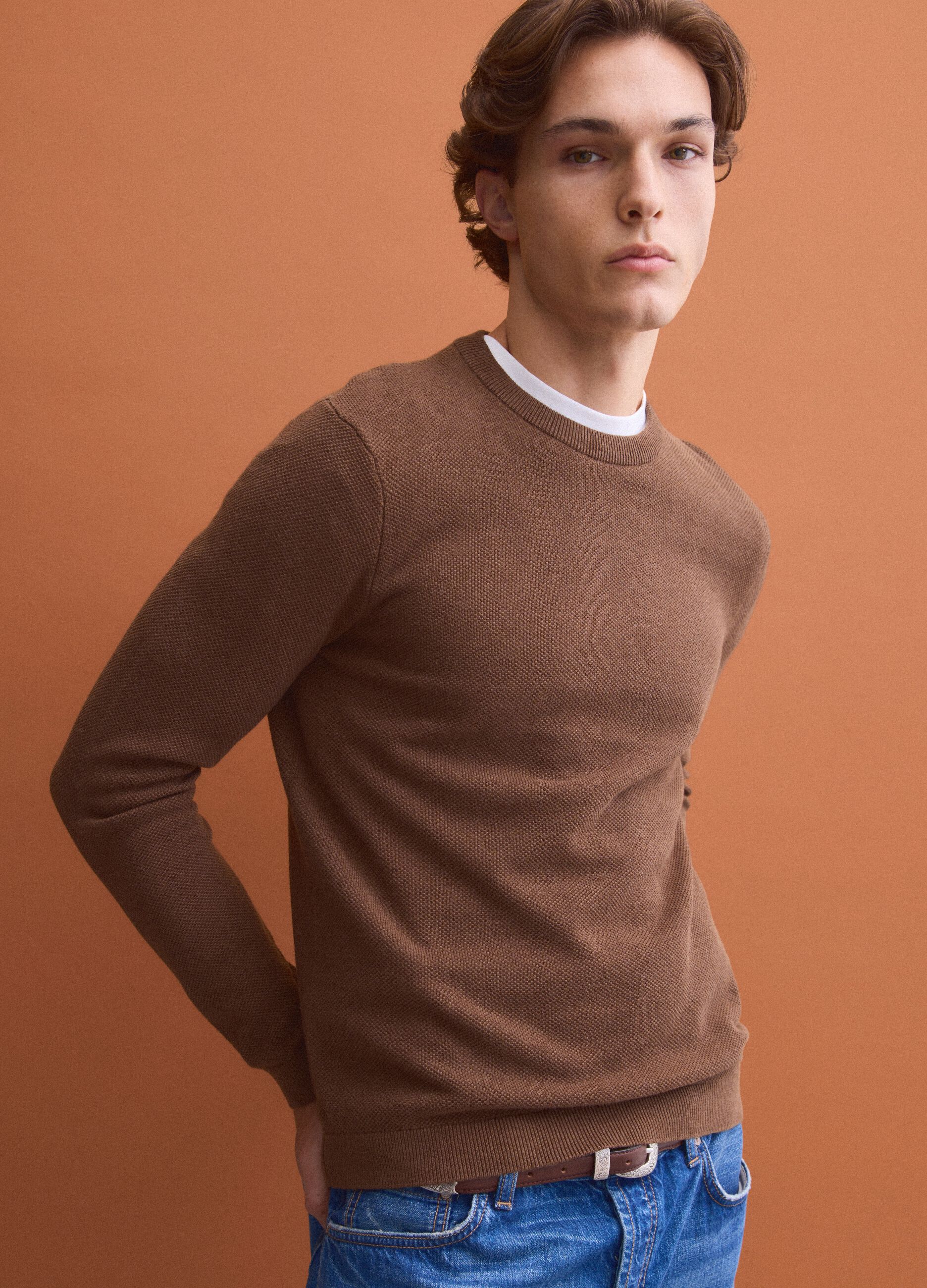 Brown pure cotton crew-neck jumper, regular fit