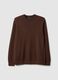 Brown pure cotton crew neck sweater regular fit_4