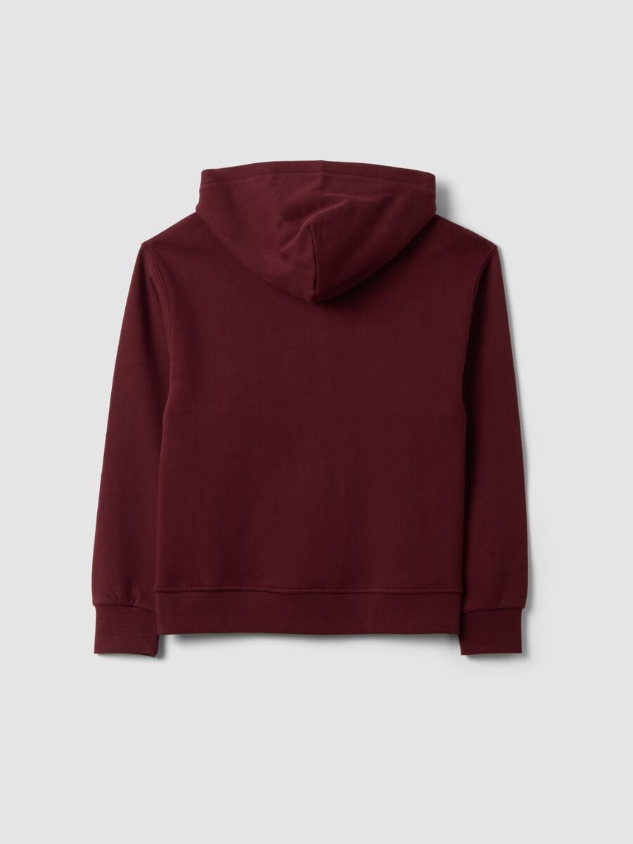 Felpa marrone in puro cotone organico con cappuccio relaxed fit_1