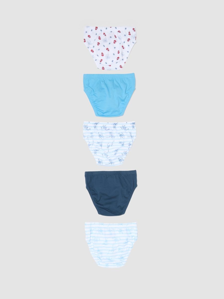 Pack of five multicolour organic cotton briefs_1
