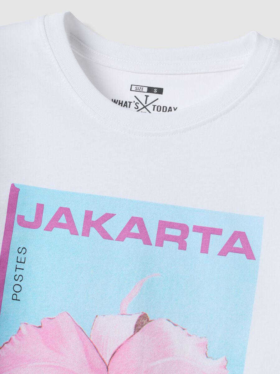 White pure cotton T-shirt with front print_1