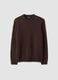 Brown crew-neck jersey knit jumper, regular fit_0
