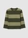 Children's green striped pure cotton regular fit shirt_0