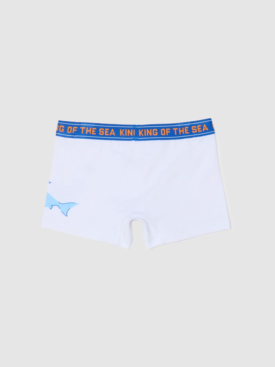 Stretch cotton boxer shorts with shark print_1