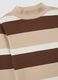 Multicolour striped cotton children's jumper with regular fit_2