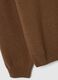 Brown crew neck pullover in pure lambswool regular fit_1