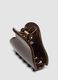 Pinza per capelli marrone lucida_1