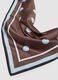 Brown polka-dot scarf with contrast border_2