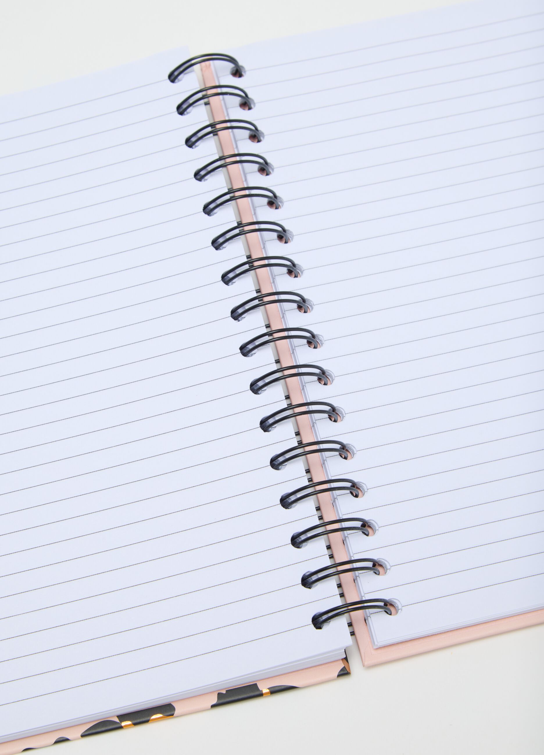 Leopard Print Black Paper Diary