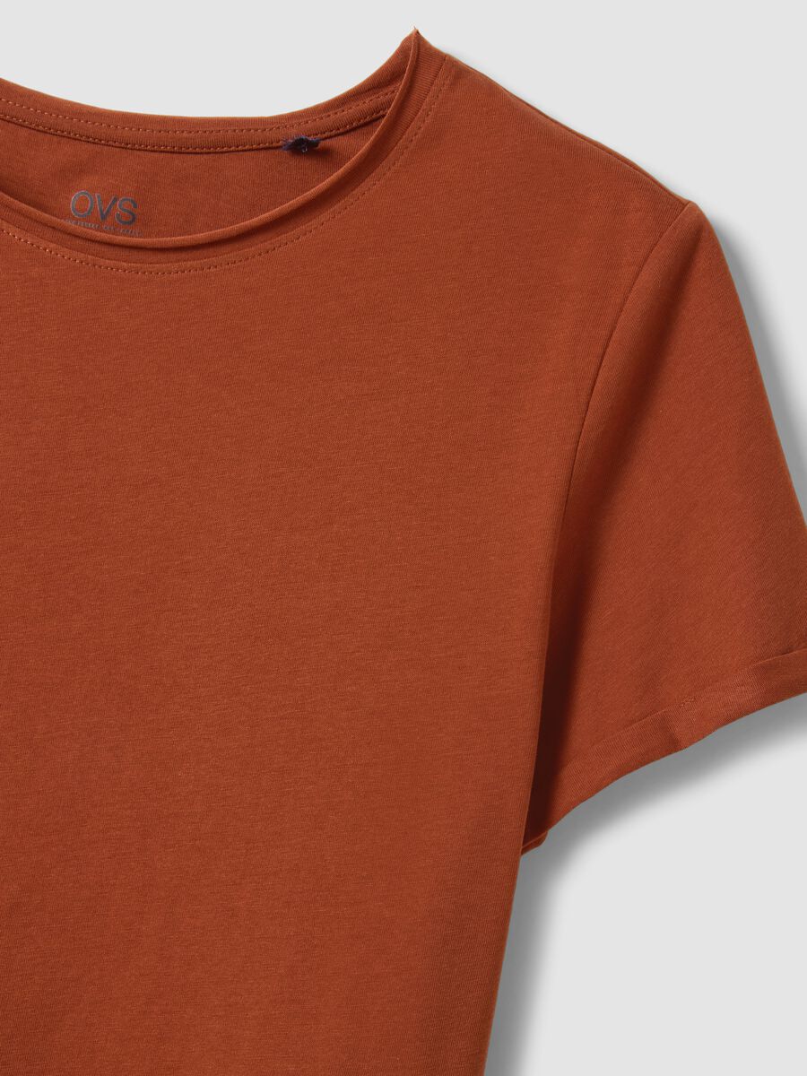 T-shirt a maniche corte in puro cotone marrone regular fit_5