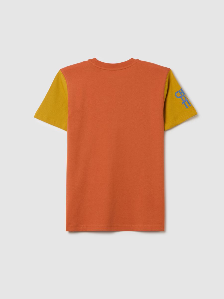 Boy's multicolour pure cotton regular fit T-shirt_1