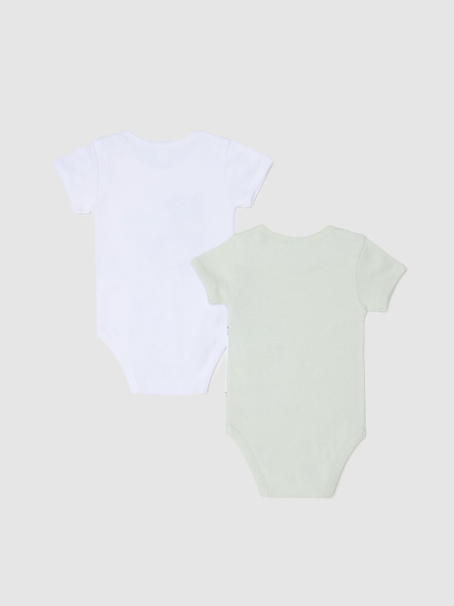 Two-pack short-sleeved bodysuits with Thumper and Dumbo_1