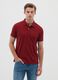 Men's red pure cotton polo shirt regular fit_0