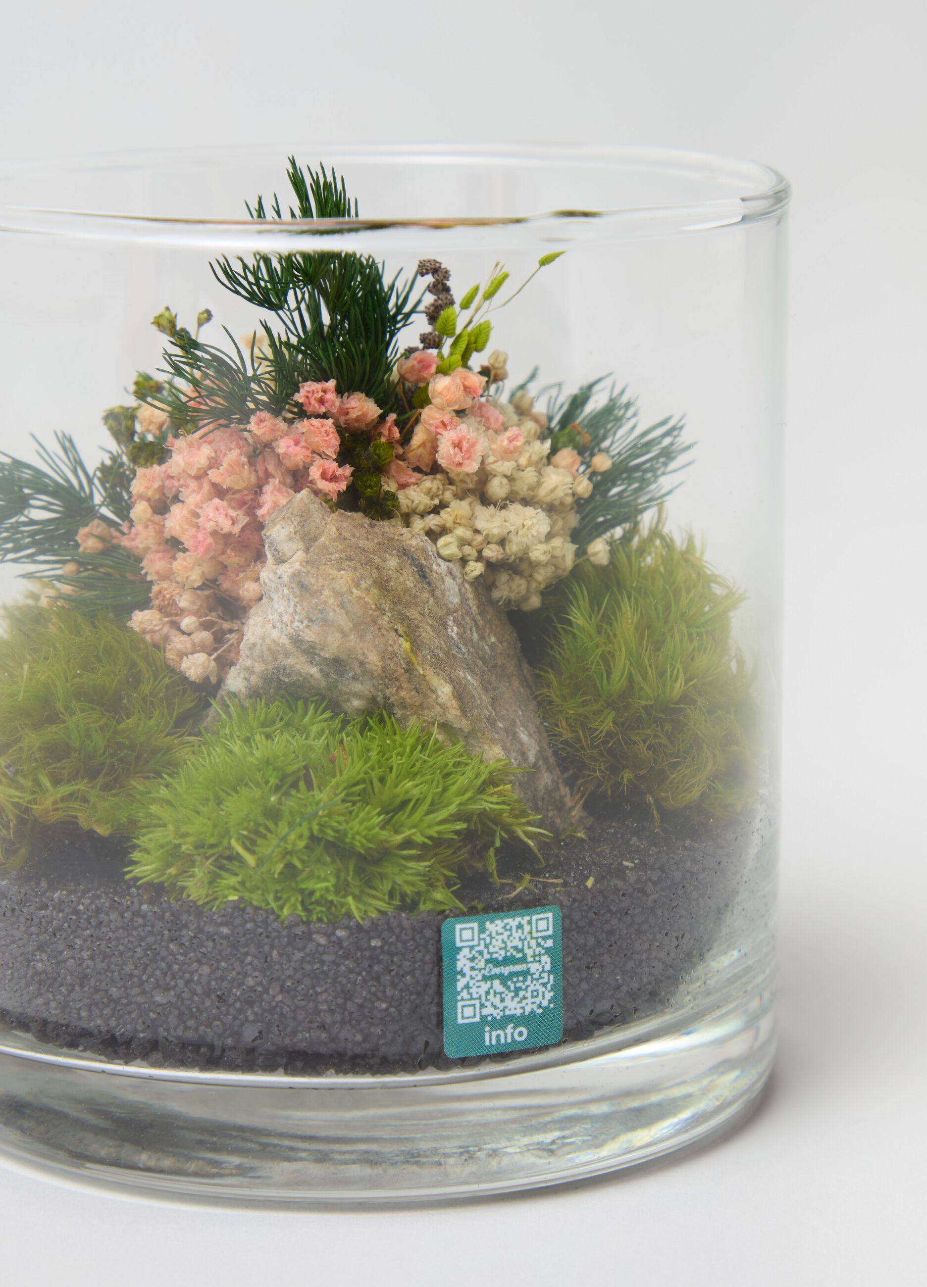 Evergreen Terrarium