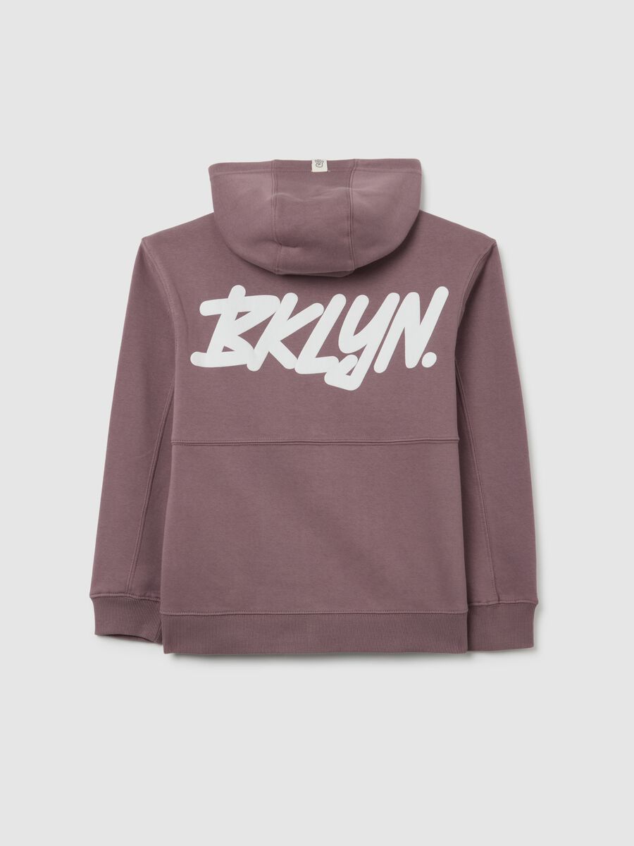 Boys' Violet Regular Fit Stretch Cotton Blend Sweatshirt with Zip and Crew Neck_1