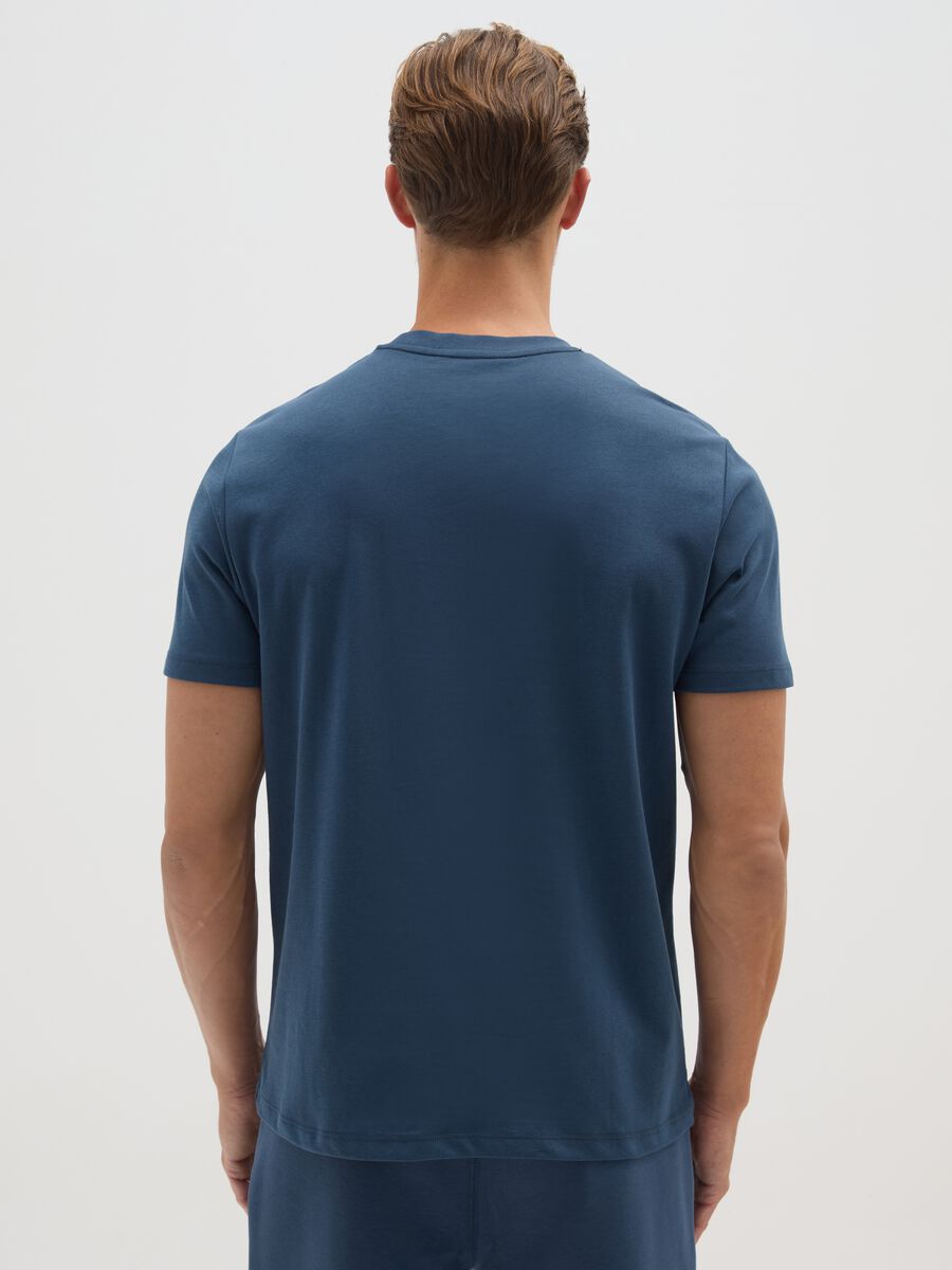Blue Cotton Blend Regular Fit T-Shirt_2