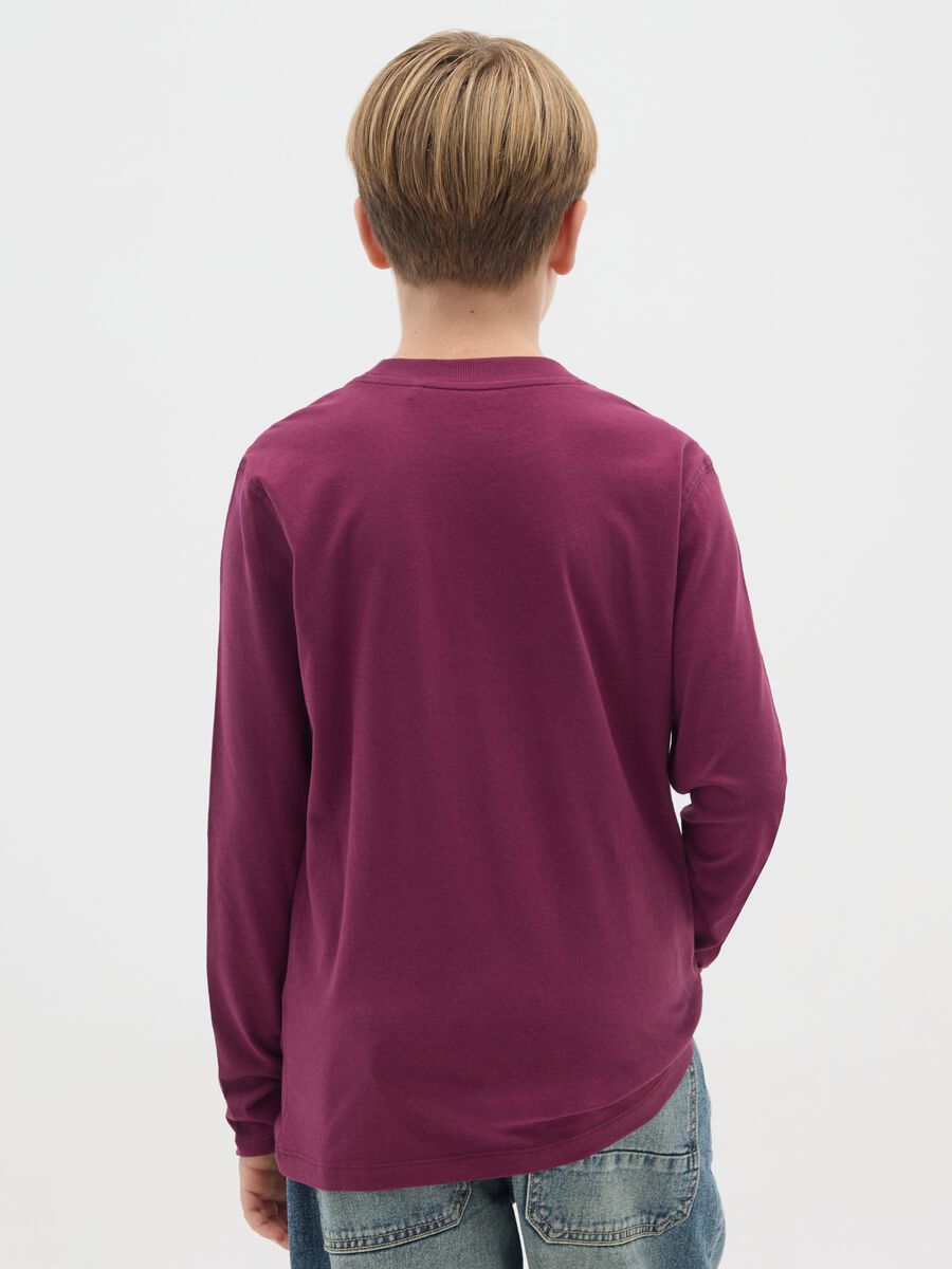 Boys' regular fit pure cotton red jumper_1
