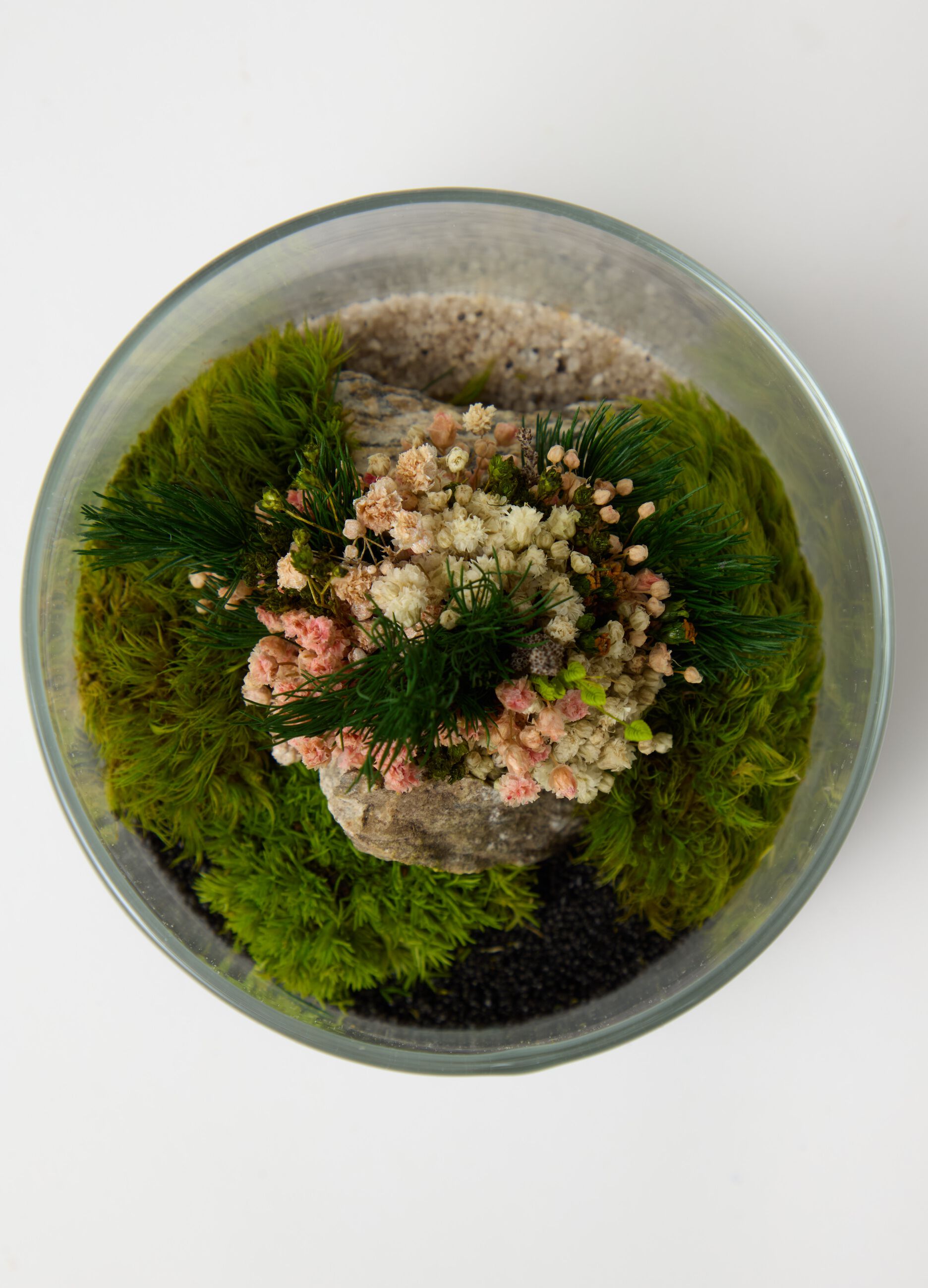 Evergreen Terrarium