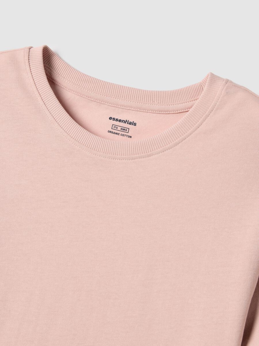 Pink Pure Cotton Regular Fit T-shirt_5