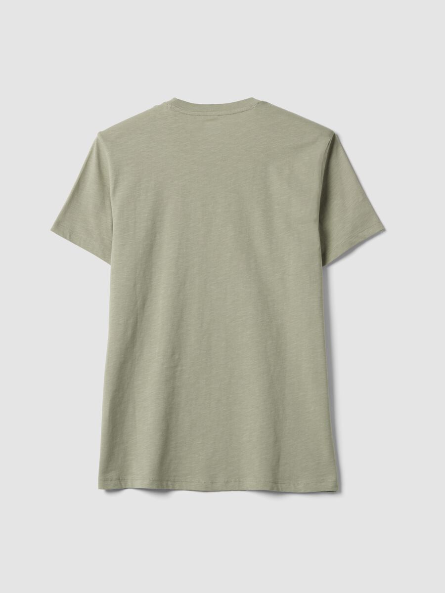 T-shirt grigia in puro cotone a maniche corte regular fit_5