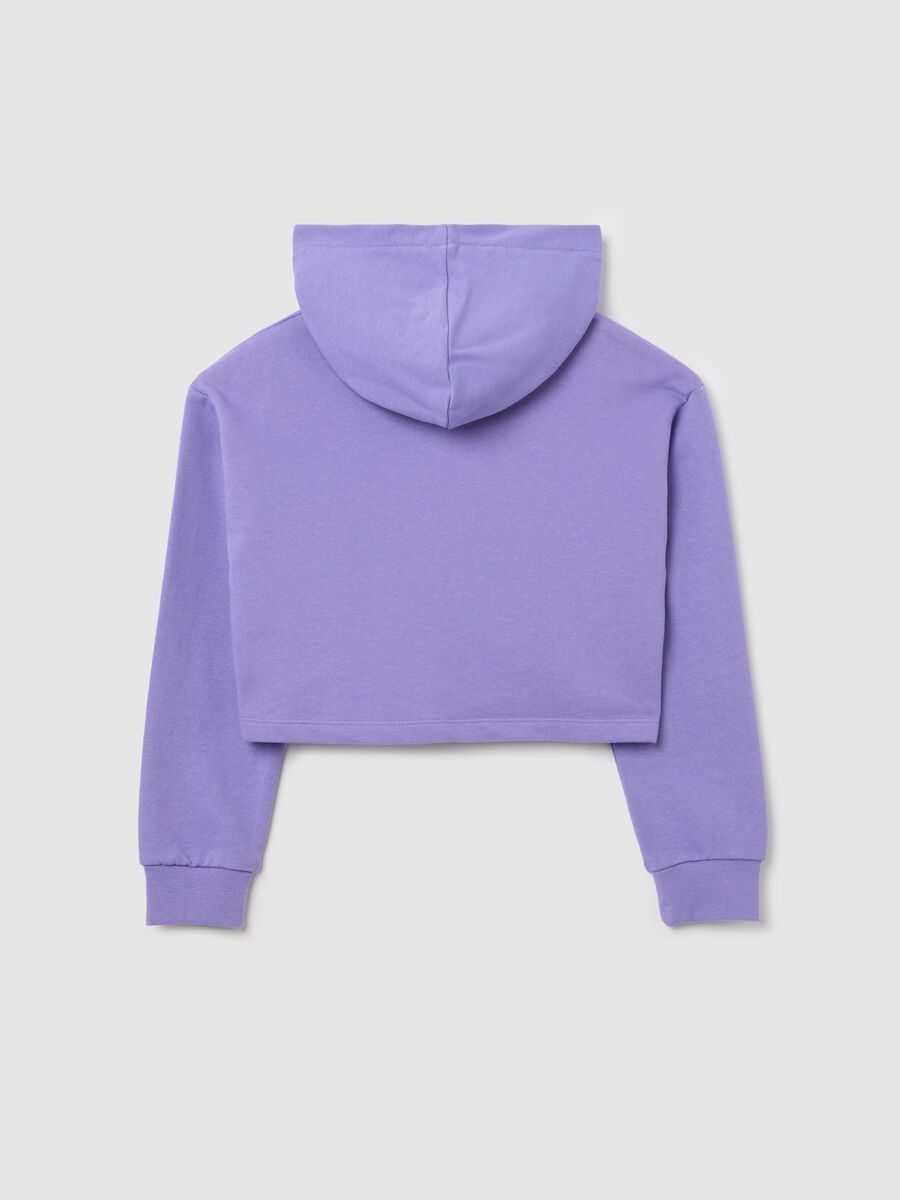 Felpa viola crop con cappuccio NBA Los Angeles Lakers _4