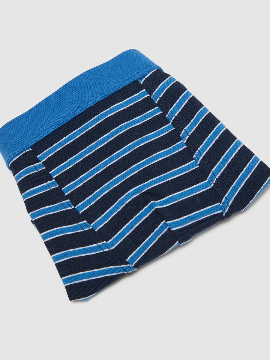 Multicolour cotton regular fit boy's boxers_3