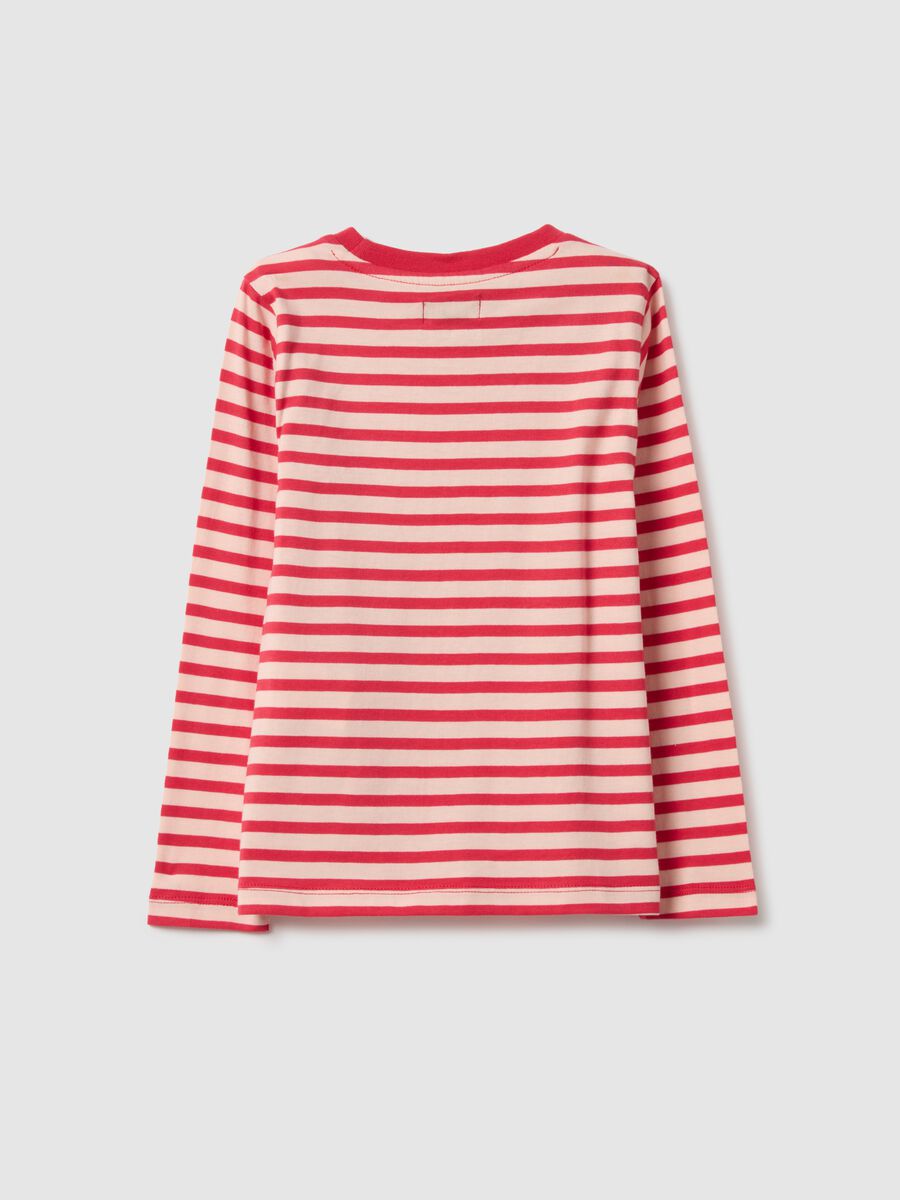 Multicolour stripe pure cotton long sleeve t-shirt in regular fit_1